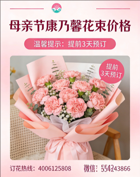 广州增城花店母亲节康乃馨花束
