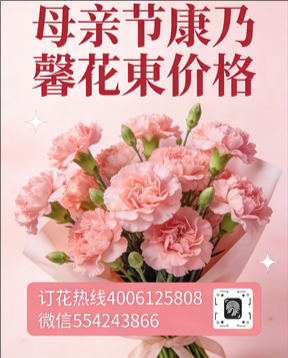 广州增城花店母亲节康乃馨花束